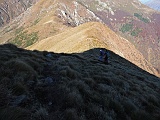 mass20 033m